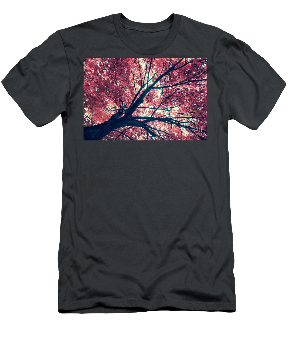 Autumn T-Shirt featuring the photograph Japanese Maple - Vintage by Hannes Cmarits