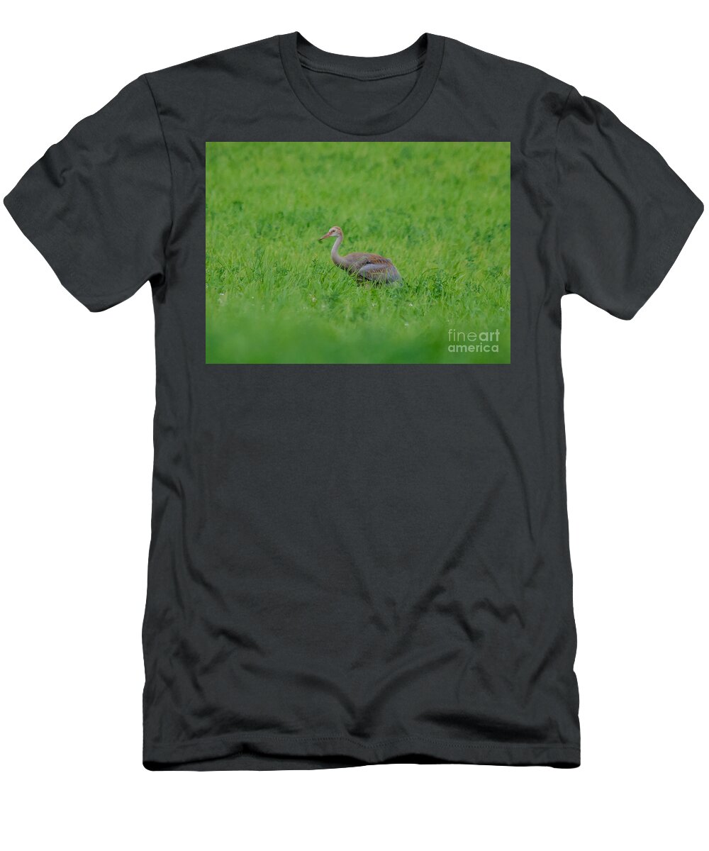 Field T-Shirt featuring the photograph Junior Crane by Cheryl Baxter
