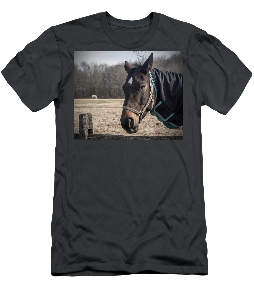 Just Chillin T-Shirt featuring the photograph Just Chillin by Photographic Arts And Design Studio