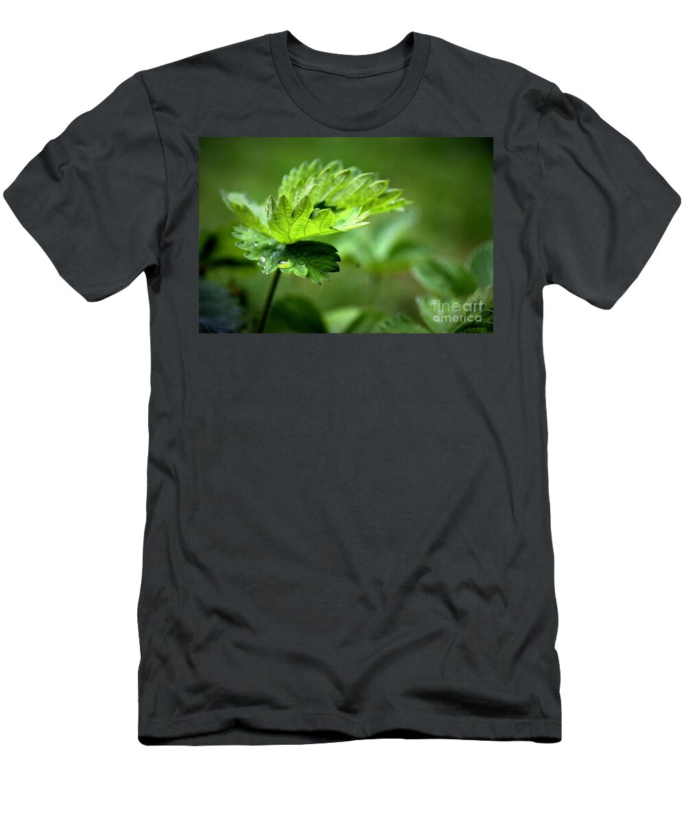 Green T-Shirt featuring the photograph Just Green by Jeremy Hayden