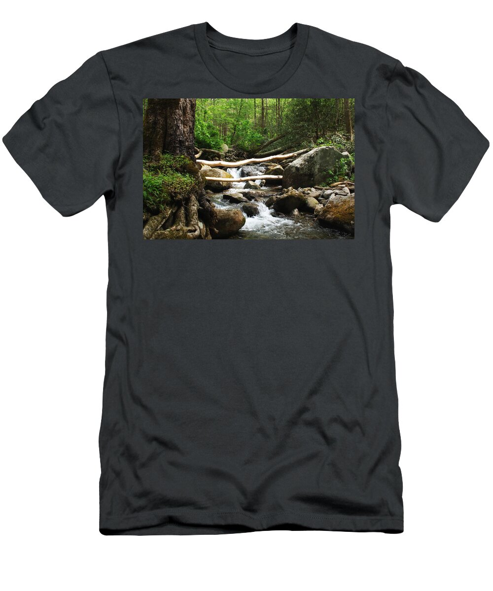 Gatlinburg T-Shirt featuring the photograph Just Outside of Gatlinburg by Mountain Dreams