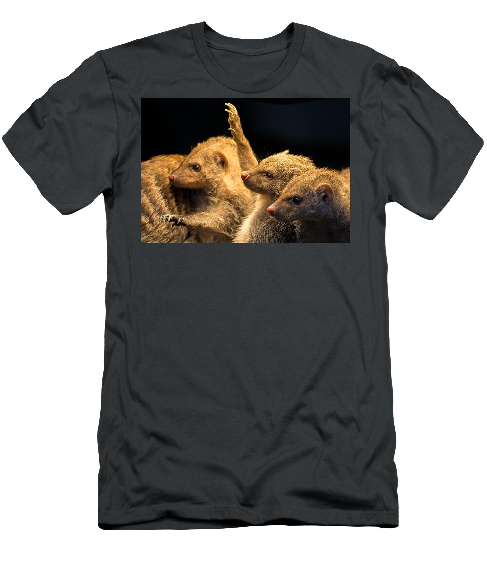 Mongoose T-Shirt featuring the photograph Juvenile Mongooses by Andreas Berthold