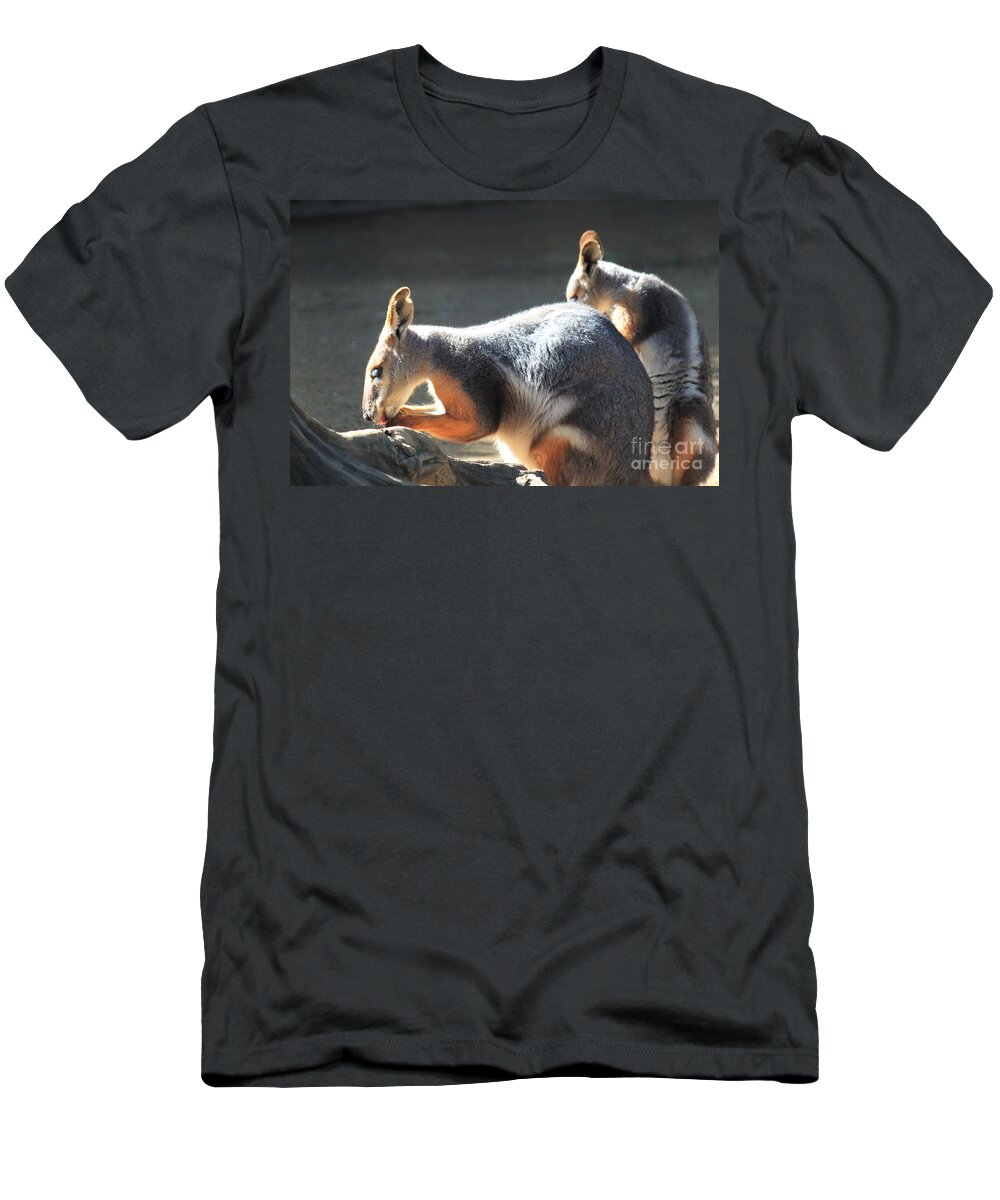 Kangaroos T-Shirt featuring the photograph Kangaroos at Sunset by Bev Conover