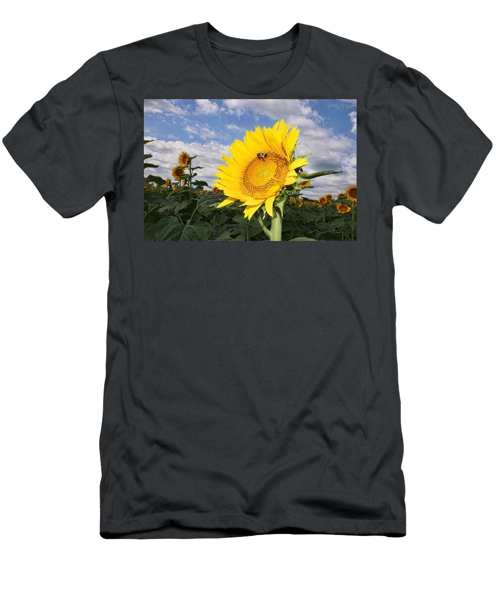 Sunflower T-Shirt featuring the photograph Kansas Sunflower by Alan Hutchins