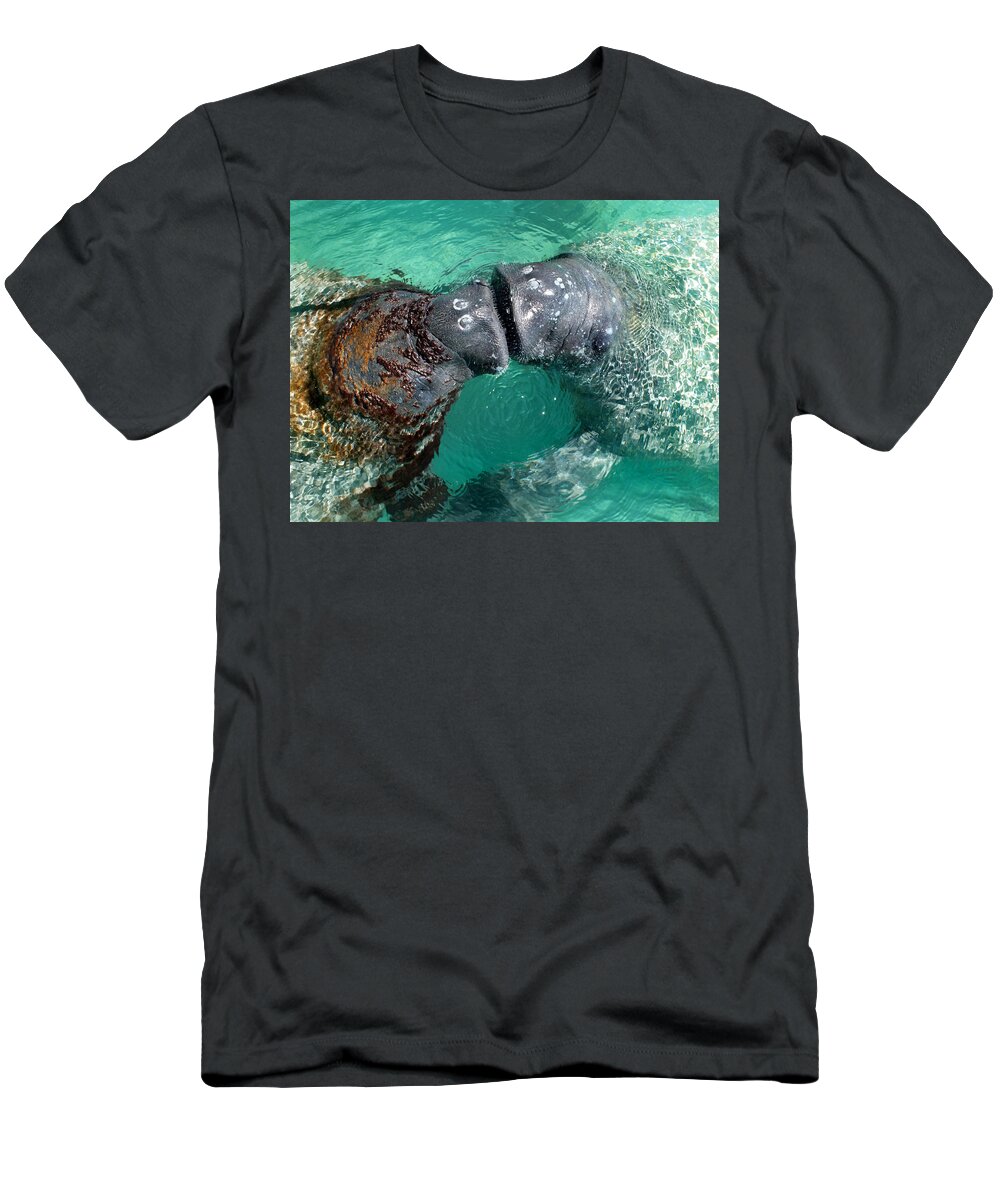 Duane Mccullough T-Shirt featuring the photograph Kissing Manatees near Harbour Island by Duane McCullough