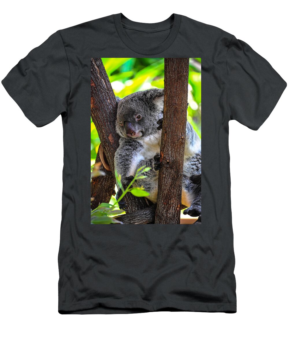 Animal T-Shirt featuring the photograph Koala by Harry Spitz