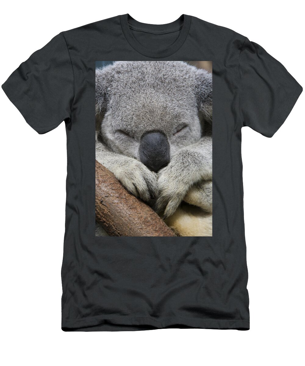 Feb0514 T-Shirt featuring the photograph Koala Sleeping Australia by Suzi Eszterhas