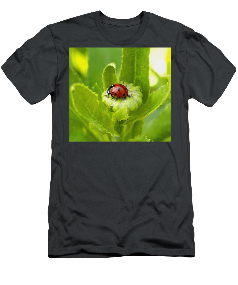 Nature T-Shirt featuring the photograph Lady Bug in the Garden by Amy McDaniel