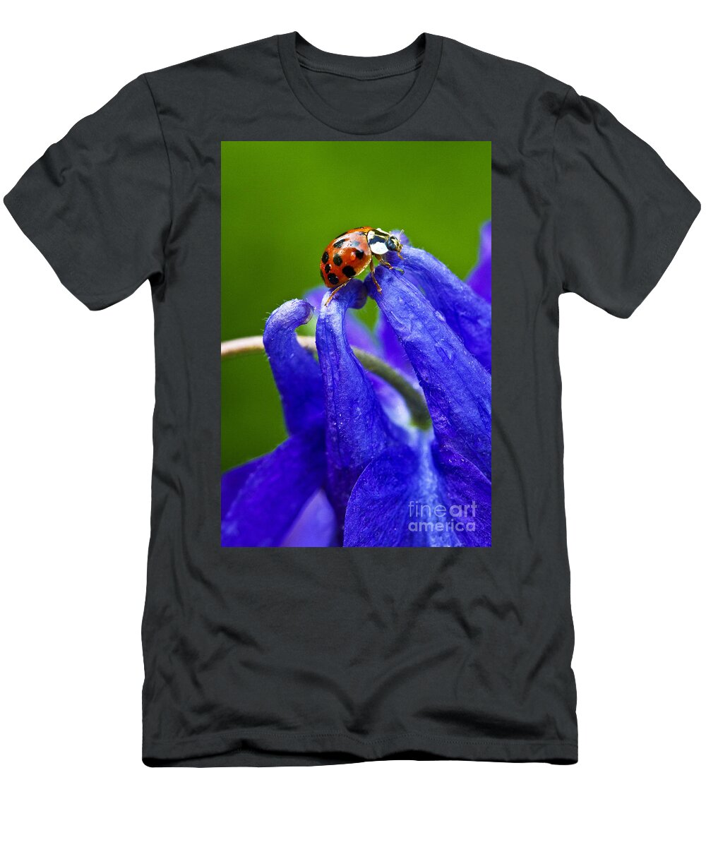 Insect T-Shirt featuring the photograph Ladybug by Carrie Cranwill
