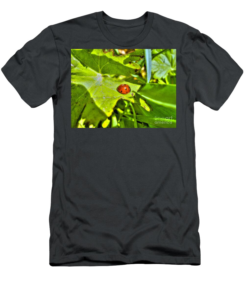 Bug T-Shirt featuring the photograph Ladybug by Nina Ficur Feenan