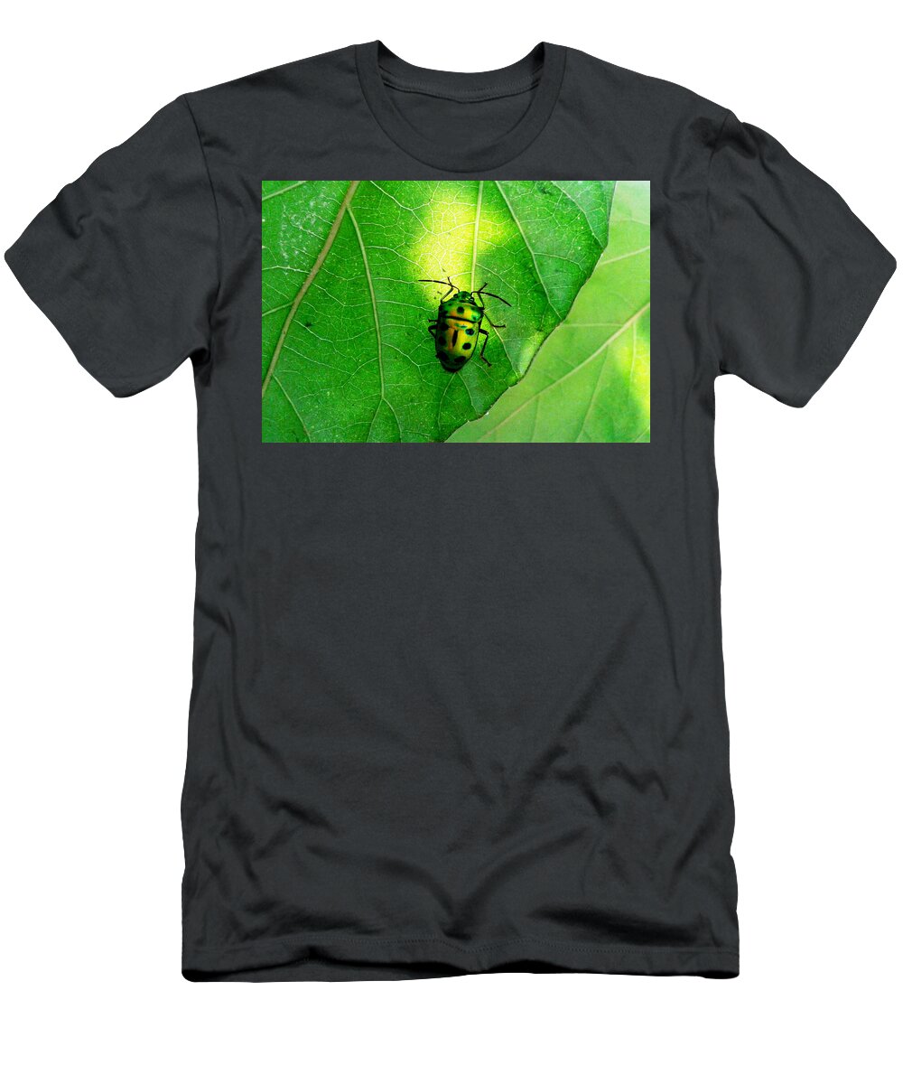 Ladybug T-Shirt featuring the photograph Ladybug by Ramabhadran Thirupattur
