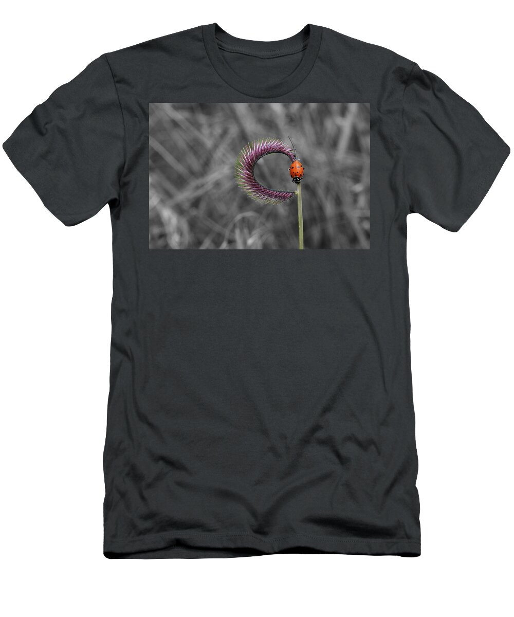 Ladybug T-Shirt featuring the photograph Ladybug by Ron White