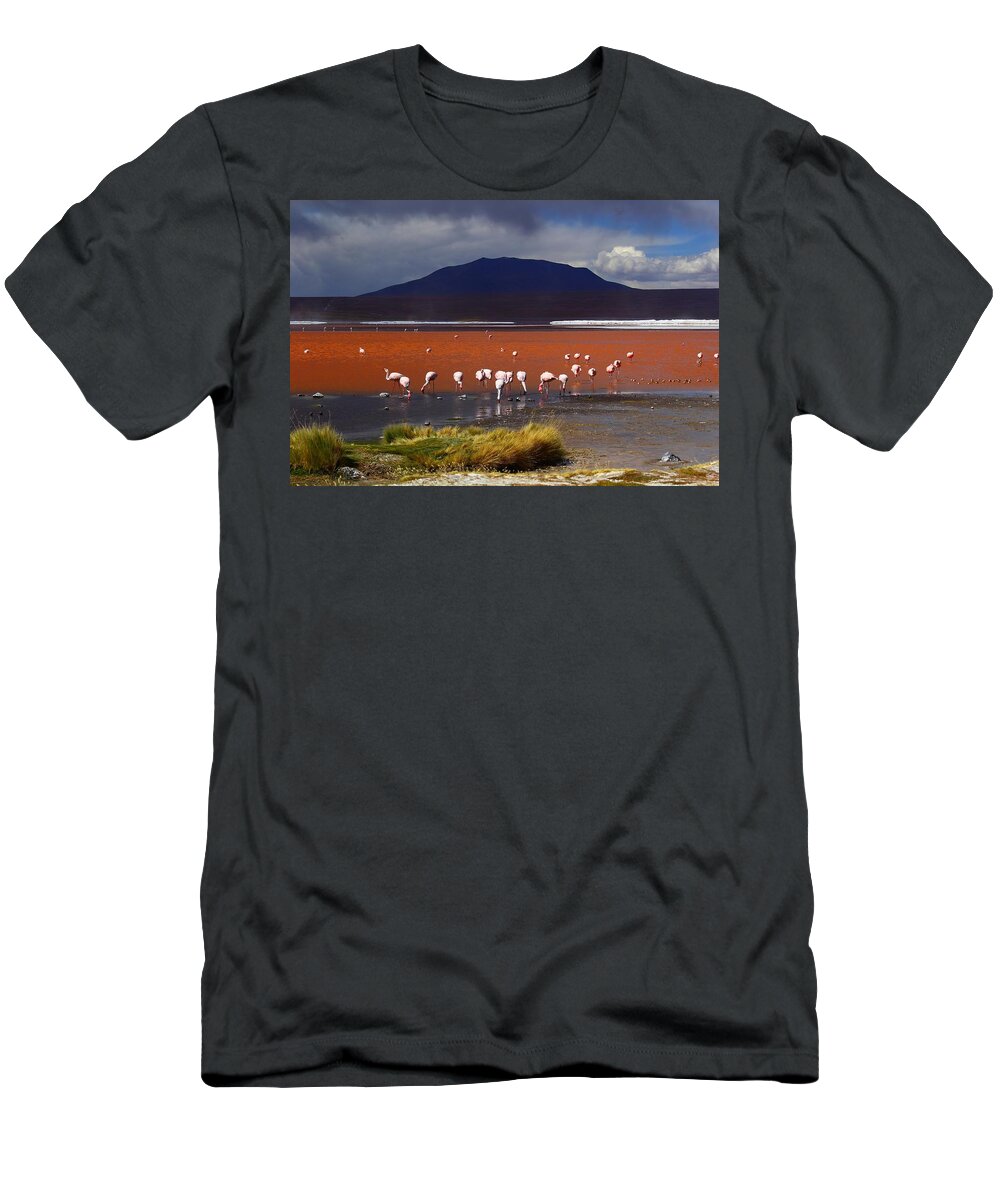 Bolivia T-Shirt featuring the photograph Laguna Colorada by FireFlux Studios