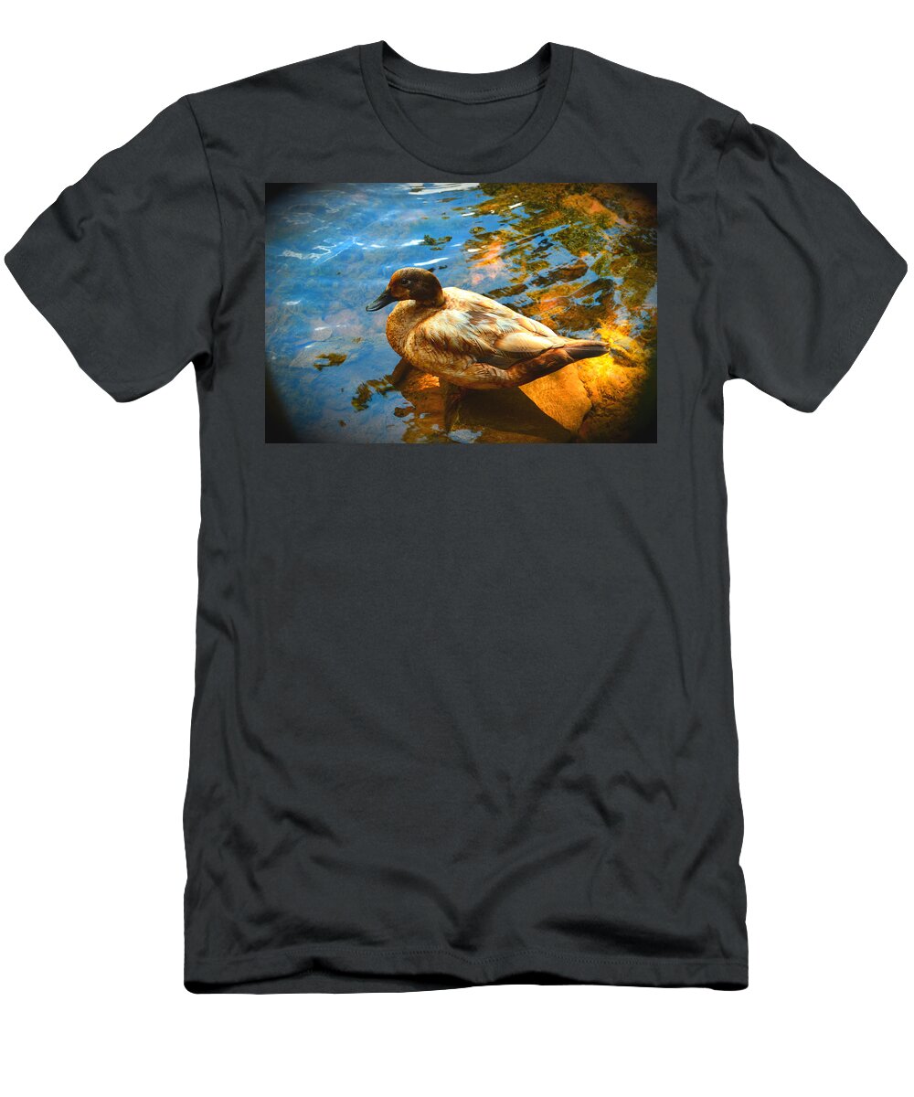 Lake Ducks T-Shirt featuring the photograph Lake Duck Vignette by Stacie Siemsen