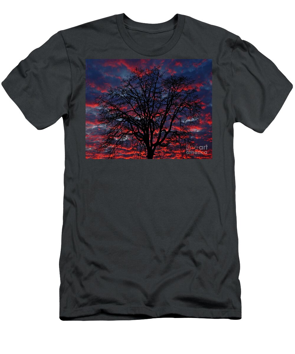 Pacific T-Shirt featuring the photograph Lake Oswego Sunset by Nick Boren