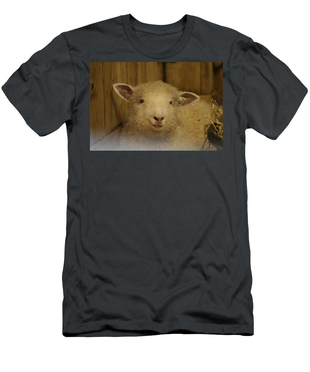 Lamp T-Shirt featuring the photograph Lamb Chop by Valerie Collins
