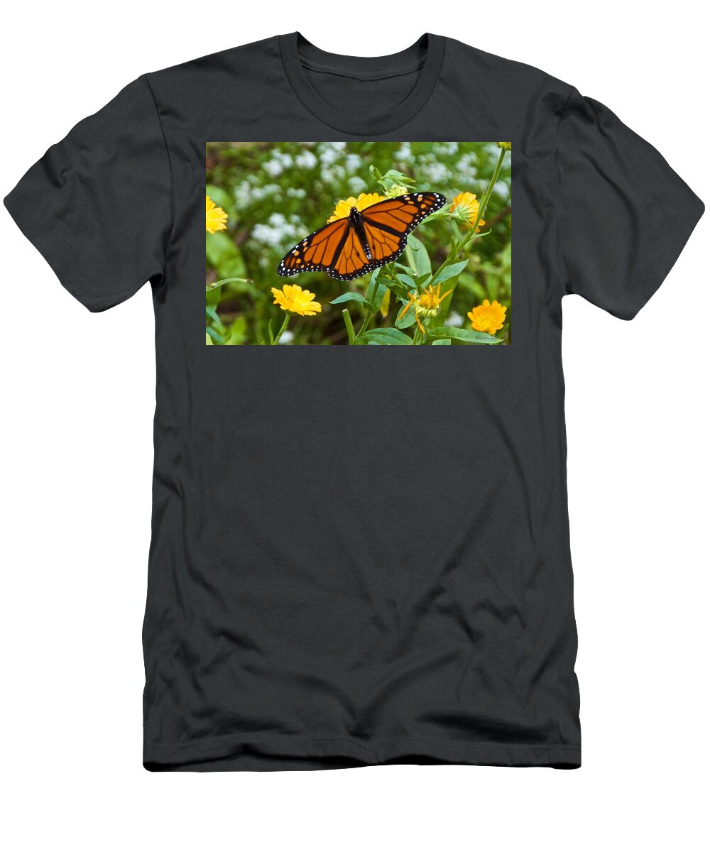 Bugs T-Shirt featuring the photograph Landing on the Calendula by Kristin Hatt