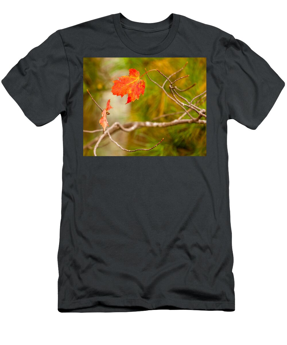 2013 T-Shirt featuring the photograph Last to Drop by Melinda Ledsome