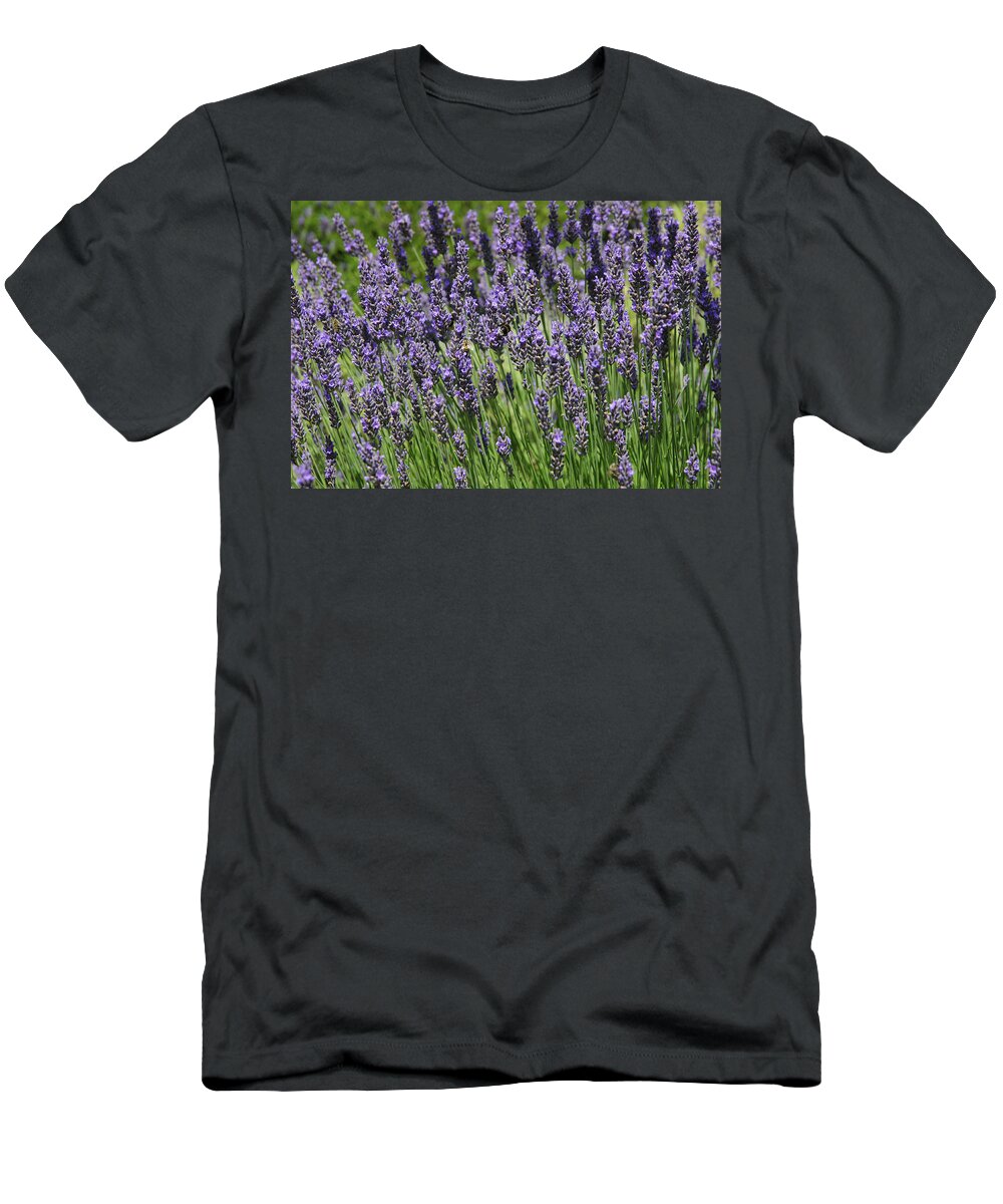 Lavender T-Shirt featuring the photograph Lavender by Chevy Fleet
