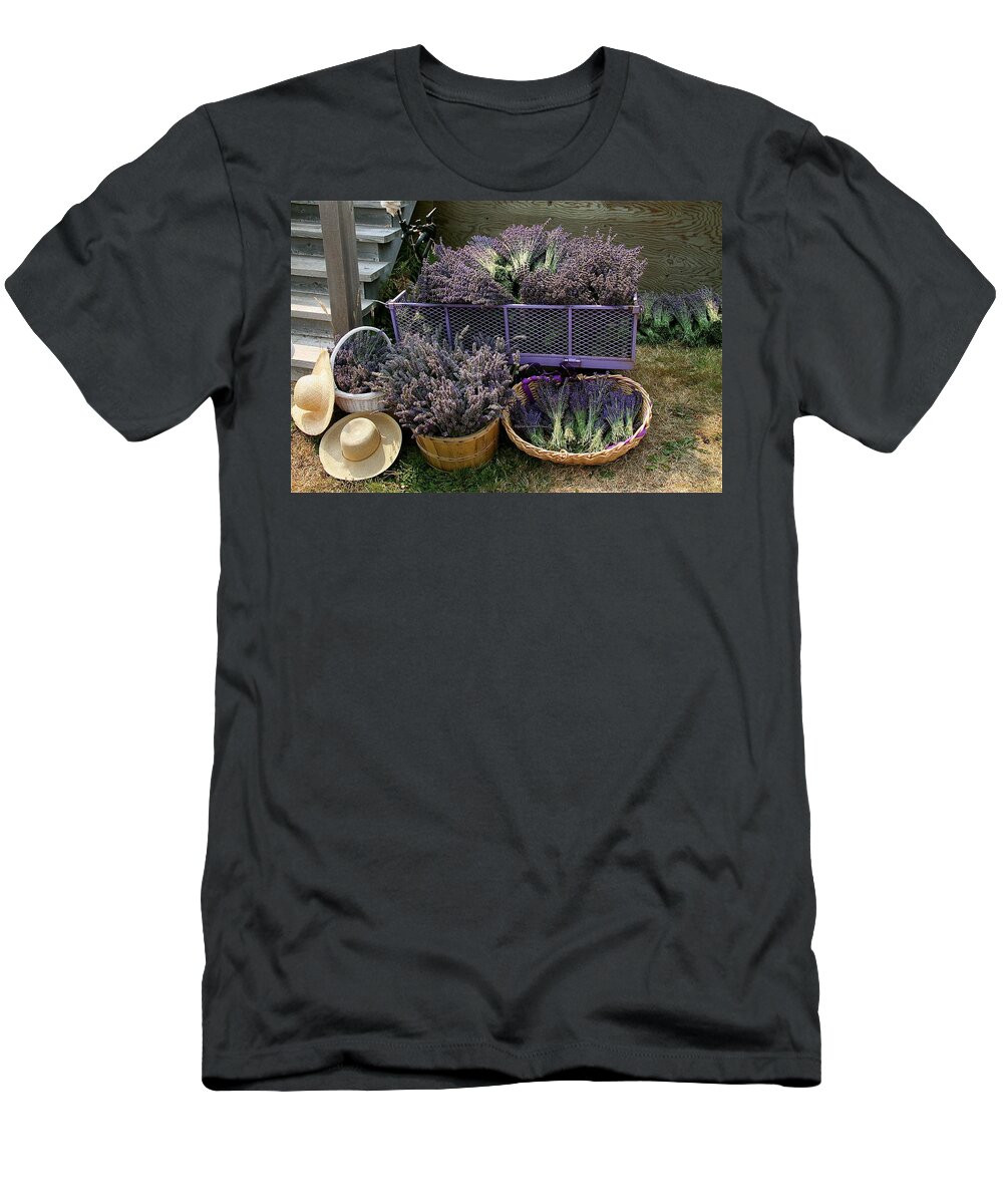Lavender T-Shirt featuring the mixed media Lavender Harvest by Alicia Kent