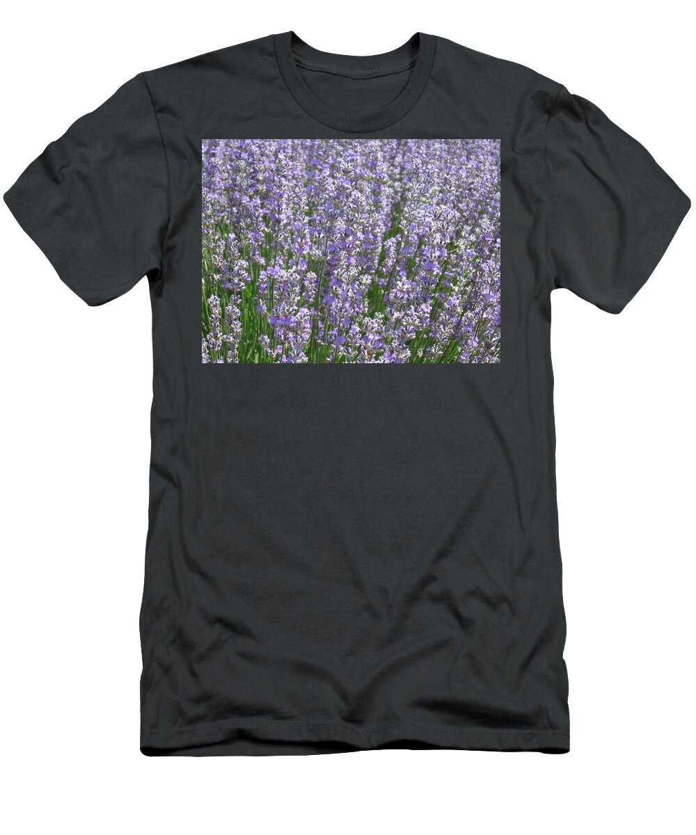 Lavender T-Shirt featuring the photograph Lavender Hues by Pema Hou