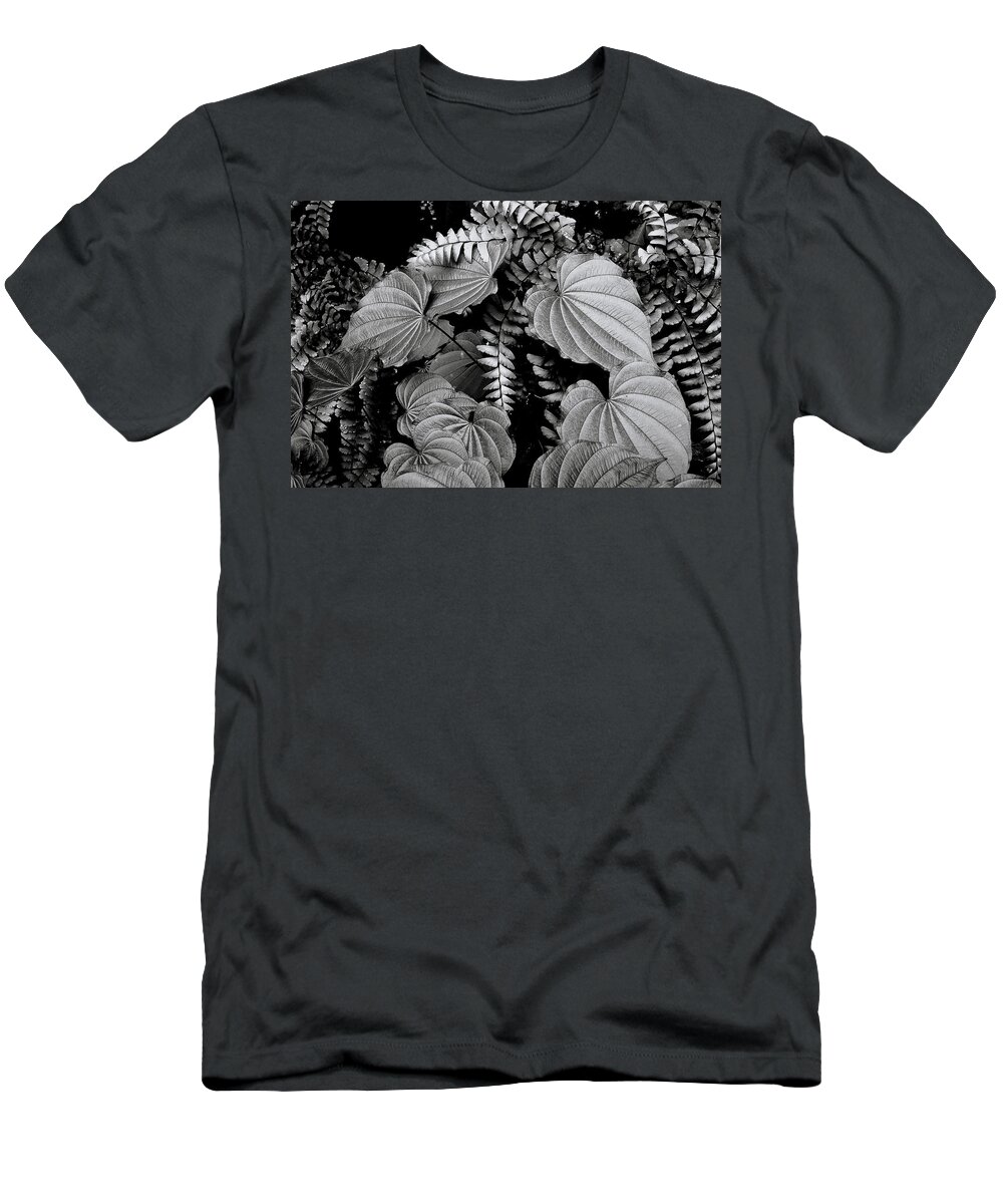 Leaves And Fern T-Shirt featuring the photograph Leaves and Fern by Michael Eingle