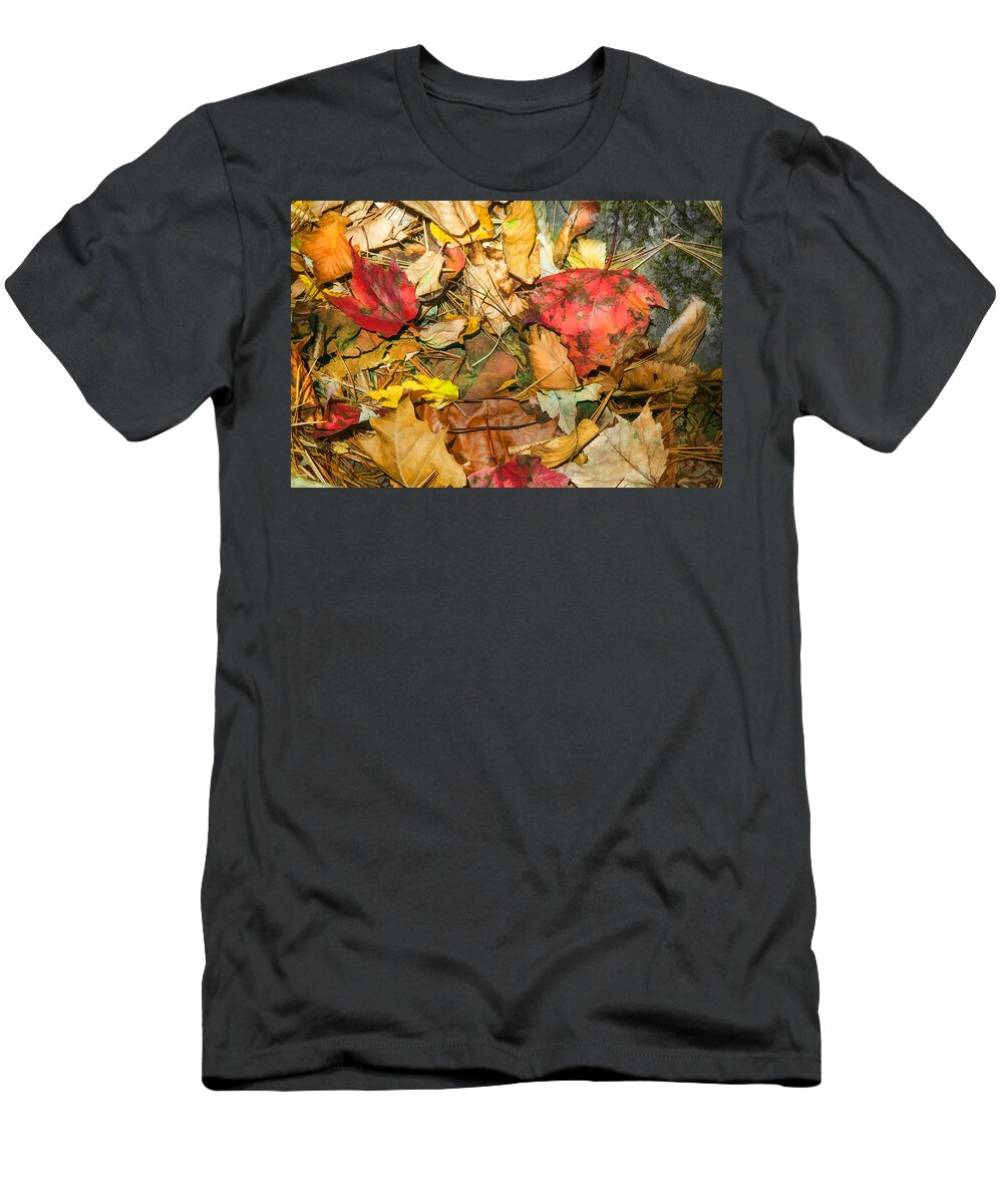 Autumn T-Shirt featuring the photograph Leaves of the Fall Great Smoky Mountains Painted by Rich Franco