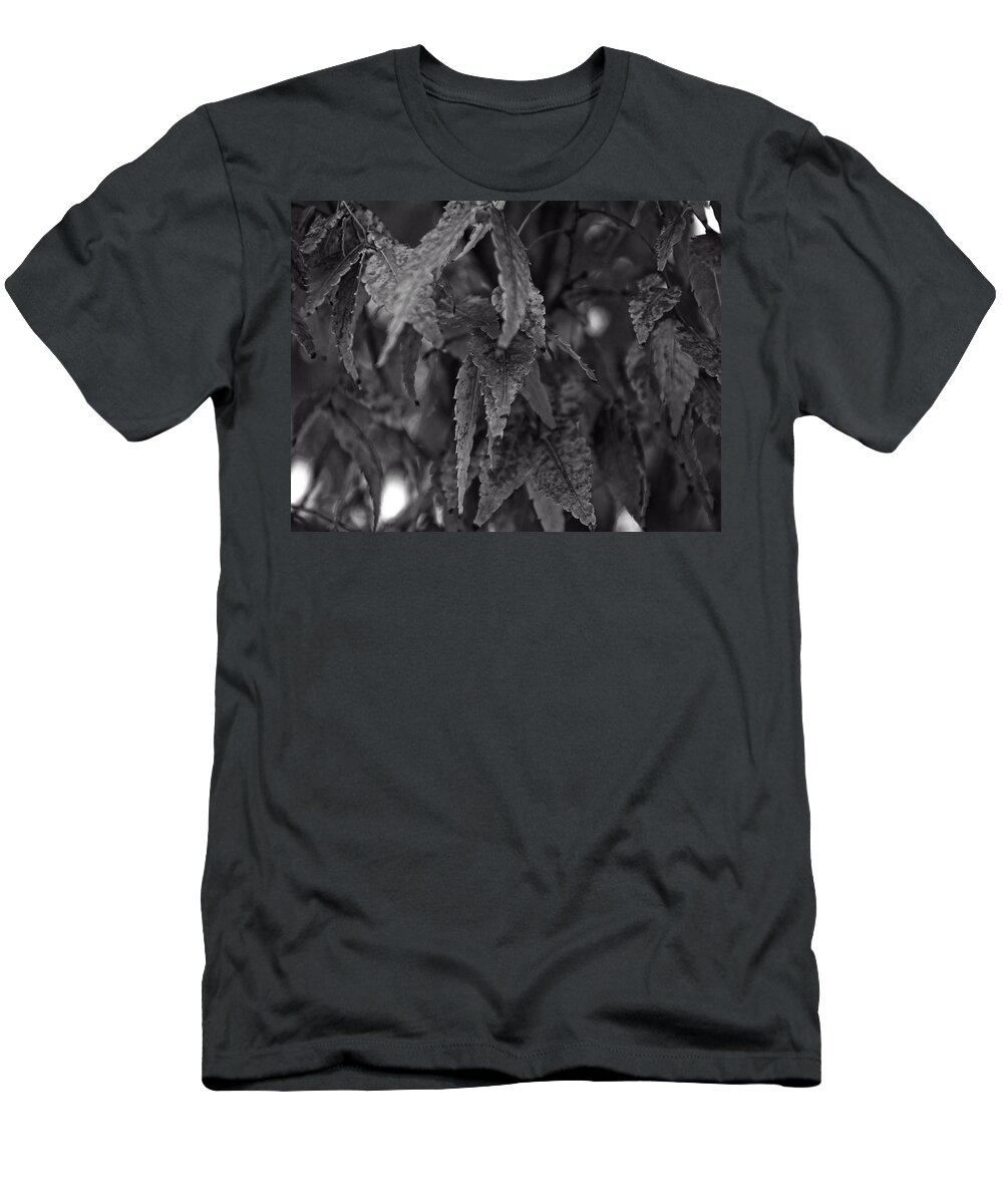Leaves T-Shirt featuring the photograph Leaves On A Tree by Flees Photos