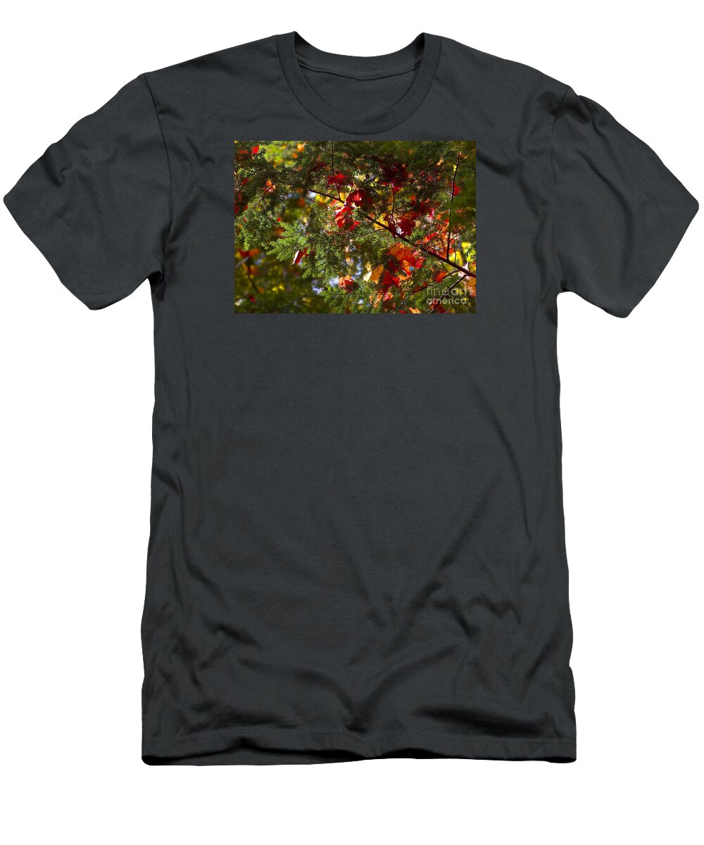 Ralser T-Shirt featuring the photograph Leaves on evergreen by Steven Ralser