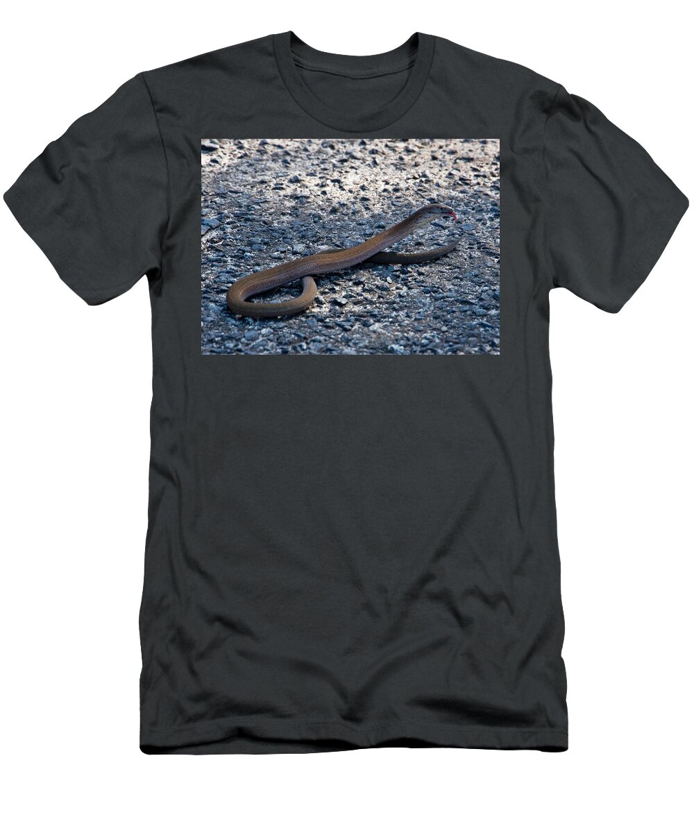 Snake T-Shirt featuring the photograph Legless lizard or a snake ? by Miroslava Jurcik