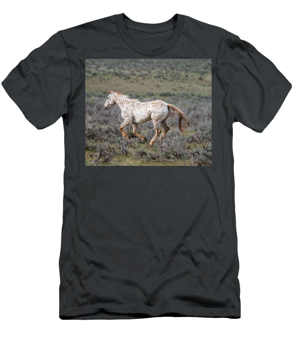 Horse T-Shirt featuring the photograph Leopard Appaloosa Horse by Michael Lustbader