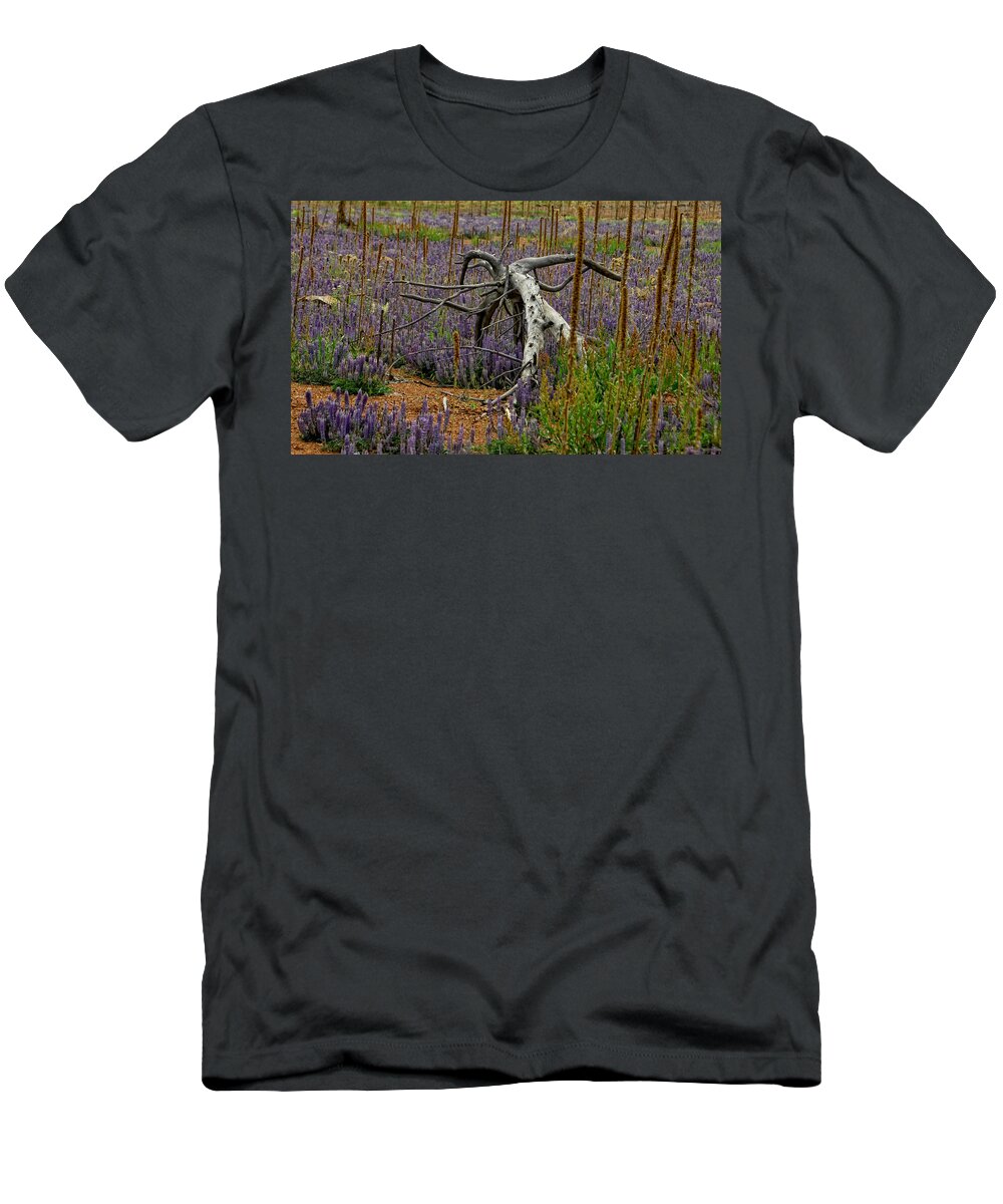 Lupine T-Shirt featuring the photograph Life Goes On by Donna Blackhall