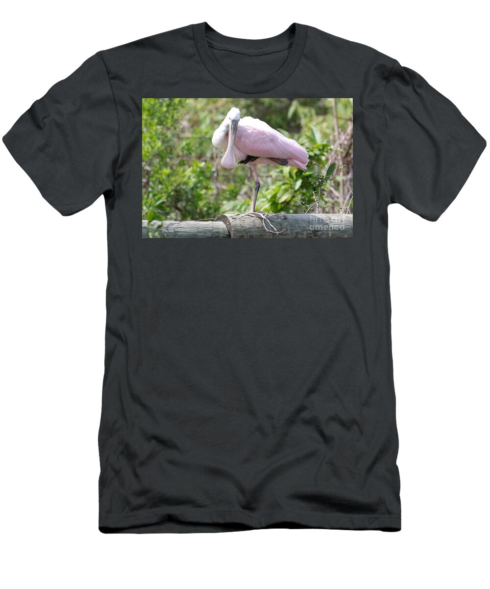 Roseate Spoonbill T-Shirt featuring the photograph Light Pink Roseate Spoonbill by Carol Groenen