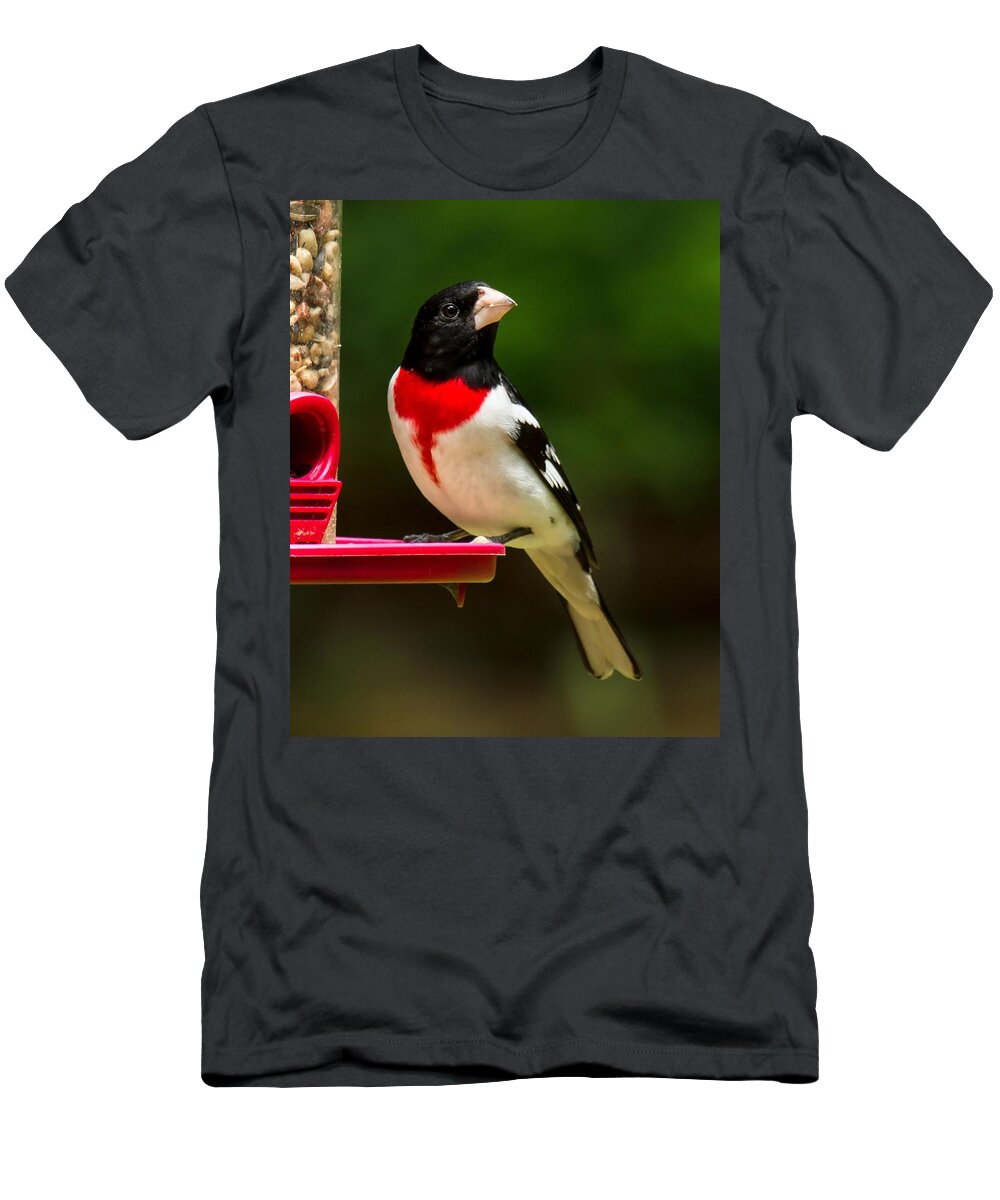 Rose Breasted Grosbeak T-Shirt featuring the photograph Like my new suit? by Robert L Jackson