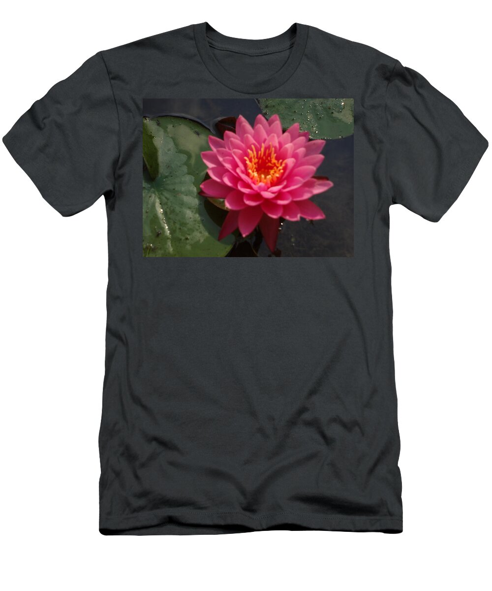 Lily Flower T-Shirt featuring the photograph Lily flower in bloom by Michael Porchik