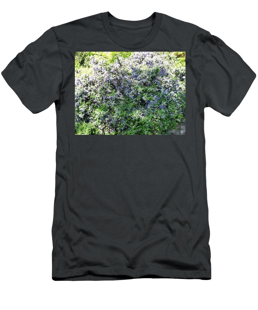 Nature T-Shirt featuring the photograph Lincoln Park In Bloom by David Trotter