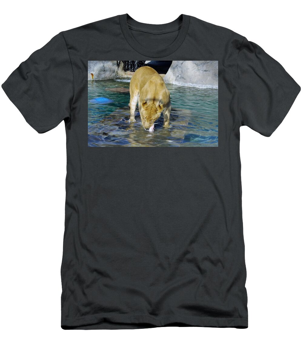 Lions Tigers And Bears T-Shirt featuring the photograph Lion 3 by Phyllis Spoor