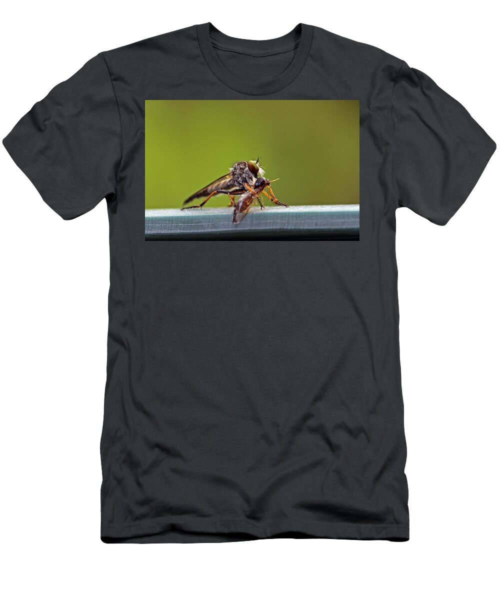 Robber T-Shirt featuring the photograph Little Beast by Juergen Roth