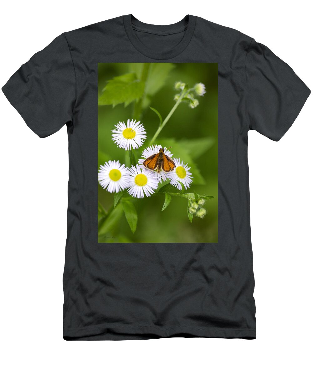 Butterflies T-Shirt featuring the photograph Little Orange Skipper by Christina Rollo