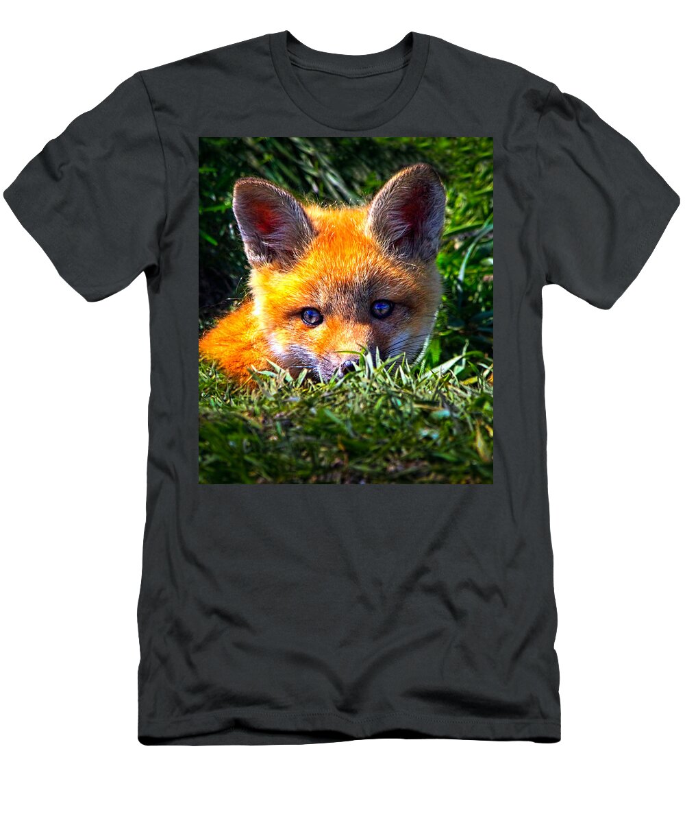 Fox T-Shirt featuring the photograph Little Red Fox by Bob Orsillo