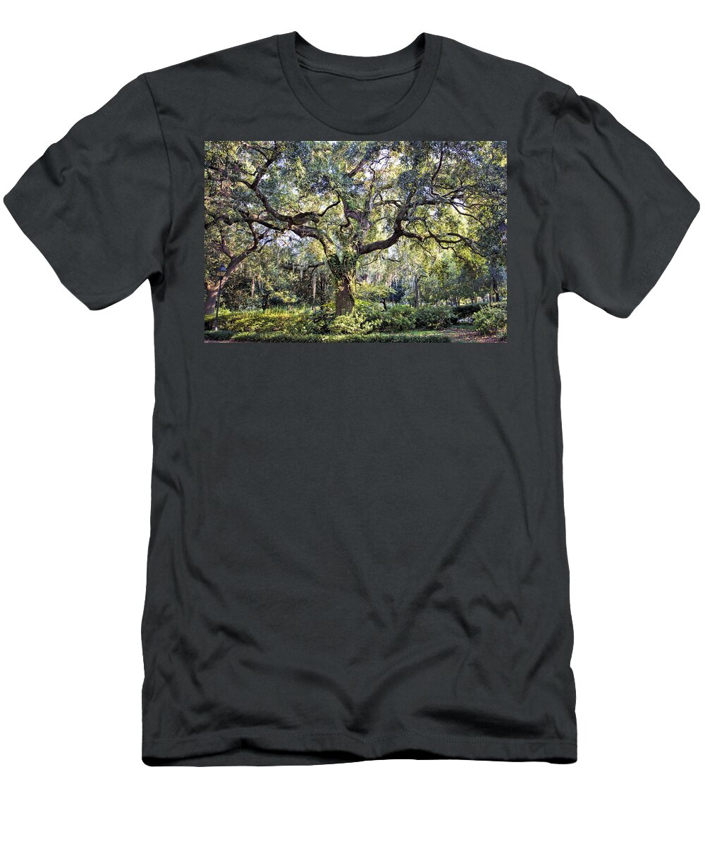 Savannah T-Shirt featuring the photograph Live Oak by Diana Powell