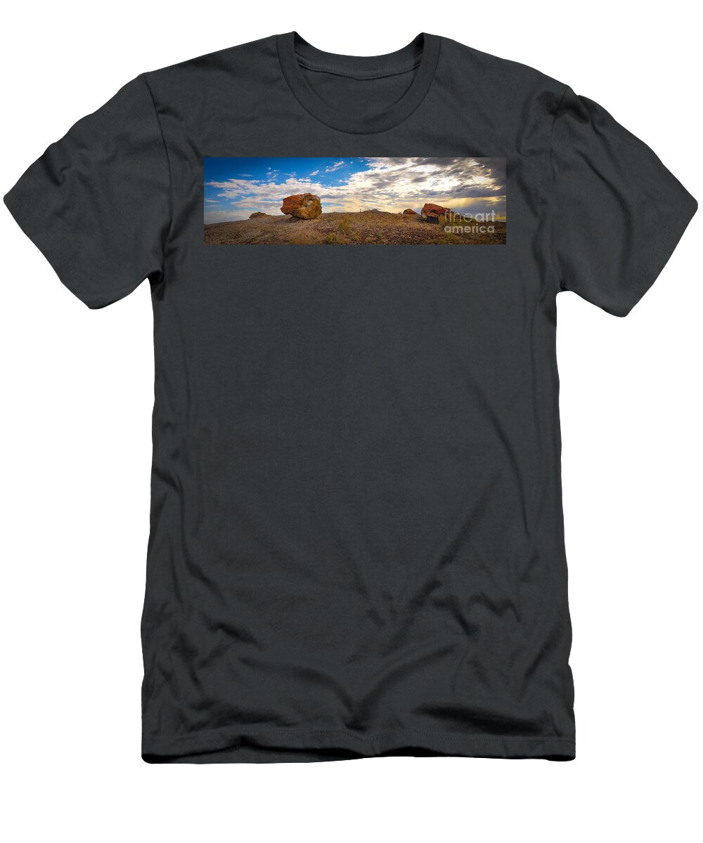 Petrified Forest T-Shirt featuring the photograph Lonesome One by Cheryl McClure