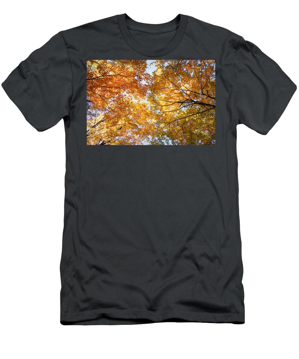 Fall T-Shirt featuring the photograph Look Up by Cricket Hackmann
