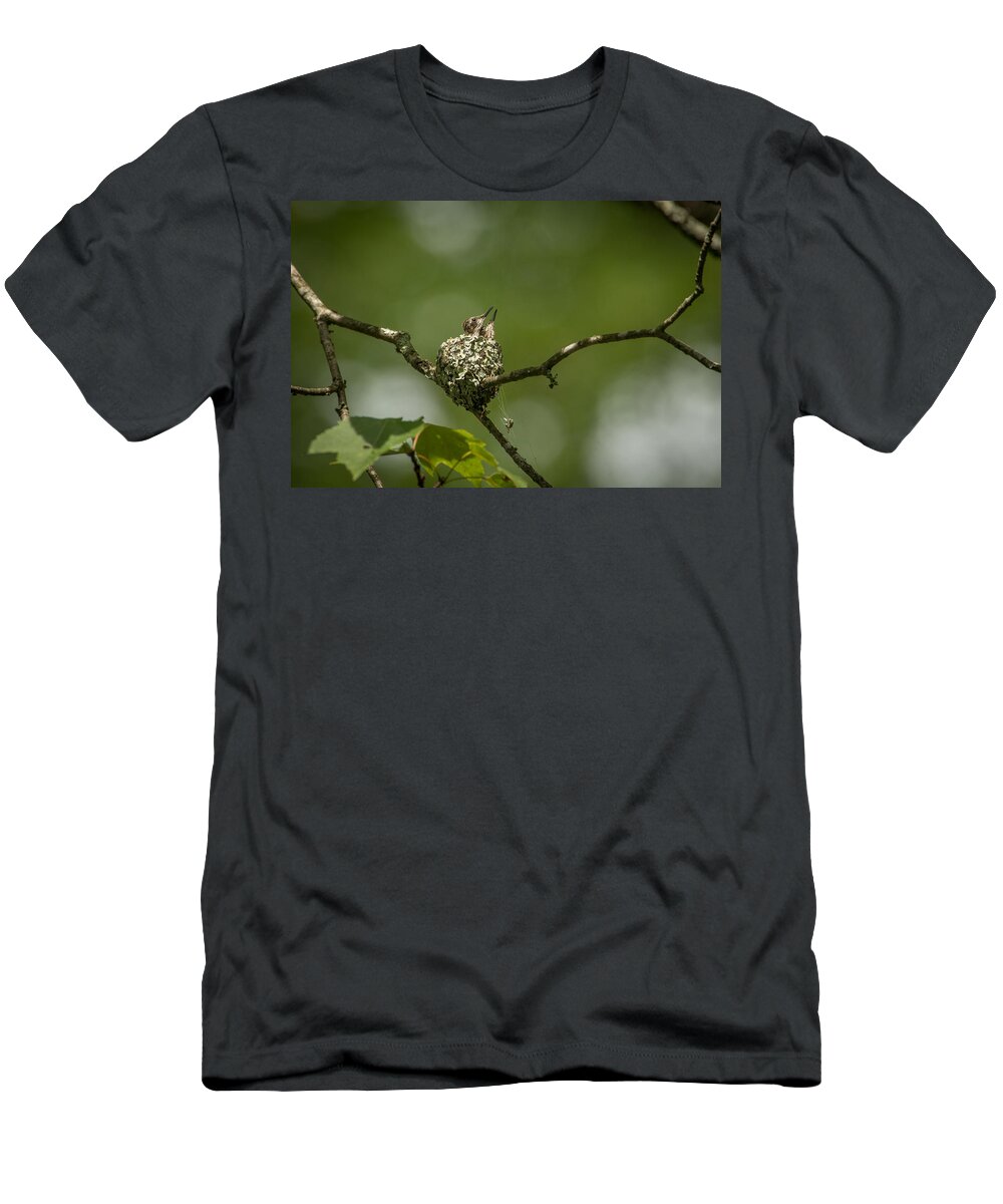 Archilochus Colubris T-Shirt featuring the photograph Looking Up by Joye Ardyn Durham