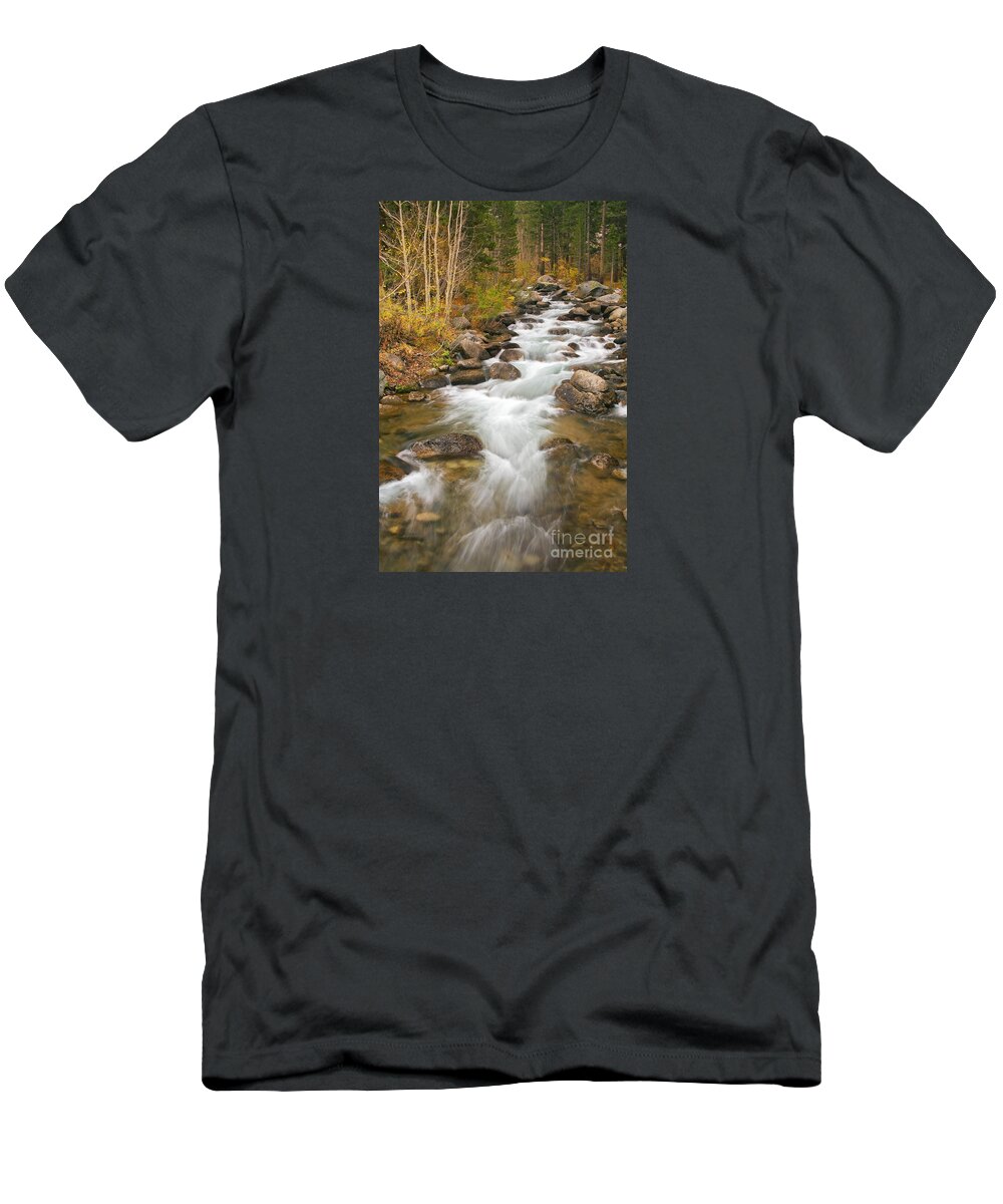 Stream T-Shirt featuring the photograph Looking Upstream by Alice Cahill