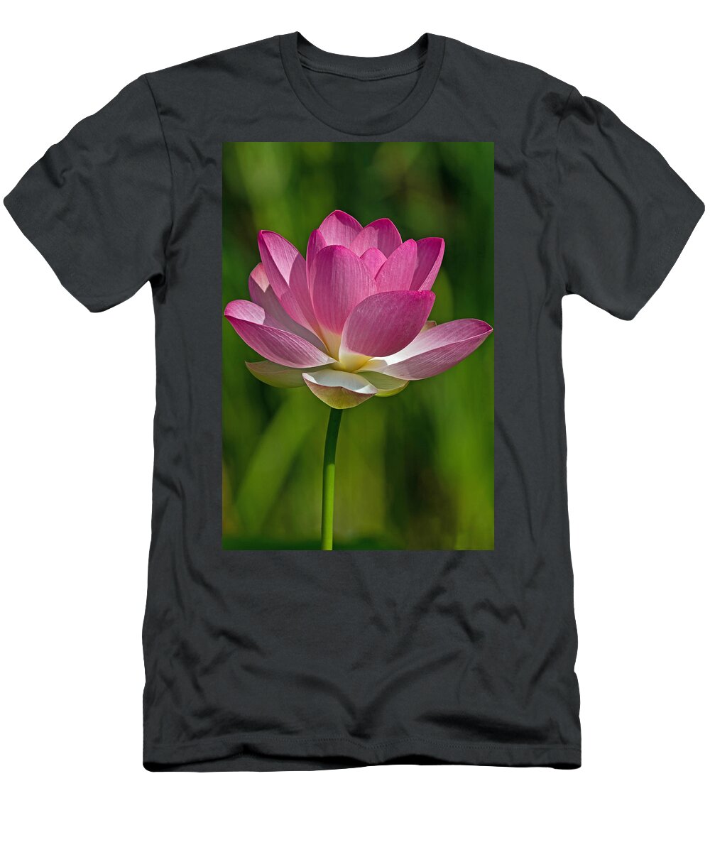 Lotus T-Shirt featuring the photograph Lotus Bloom by Jerry Gammon