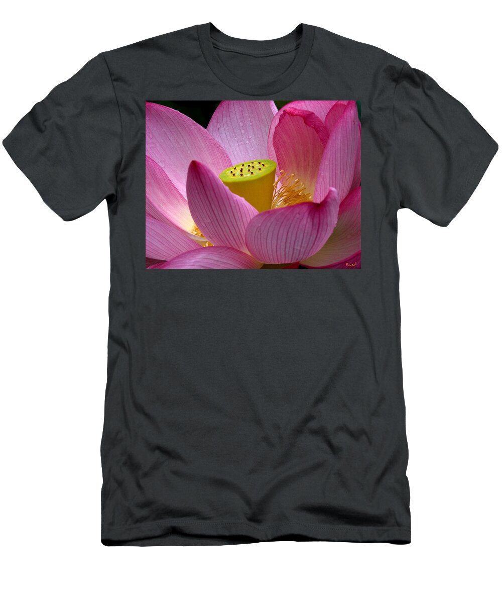 Nature T-Shirt featuring the photograph Lotus-Center of Being ii DL030 by Gerry Gantt