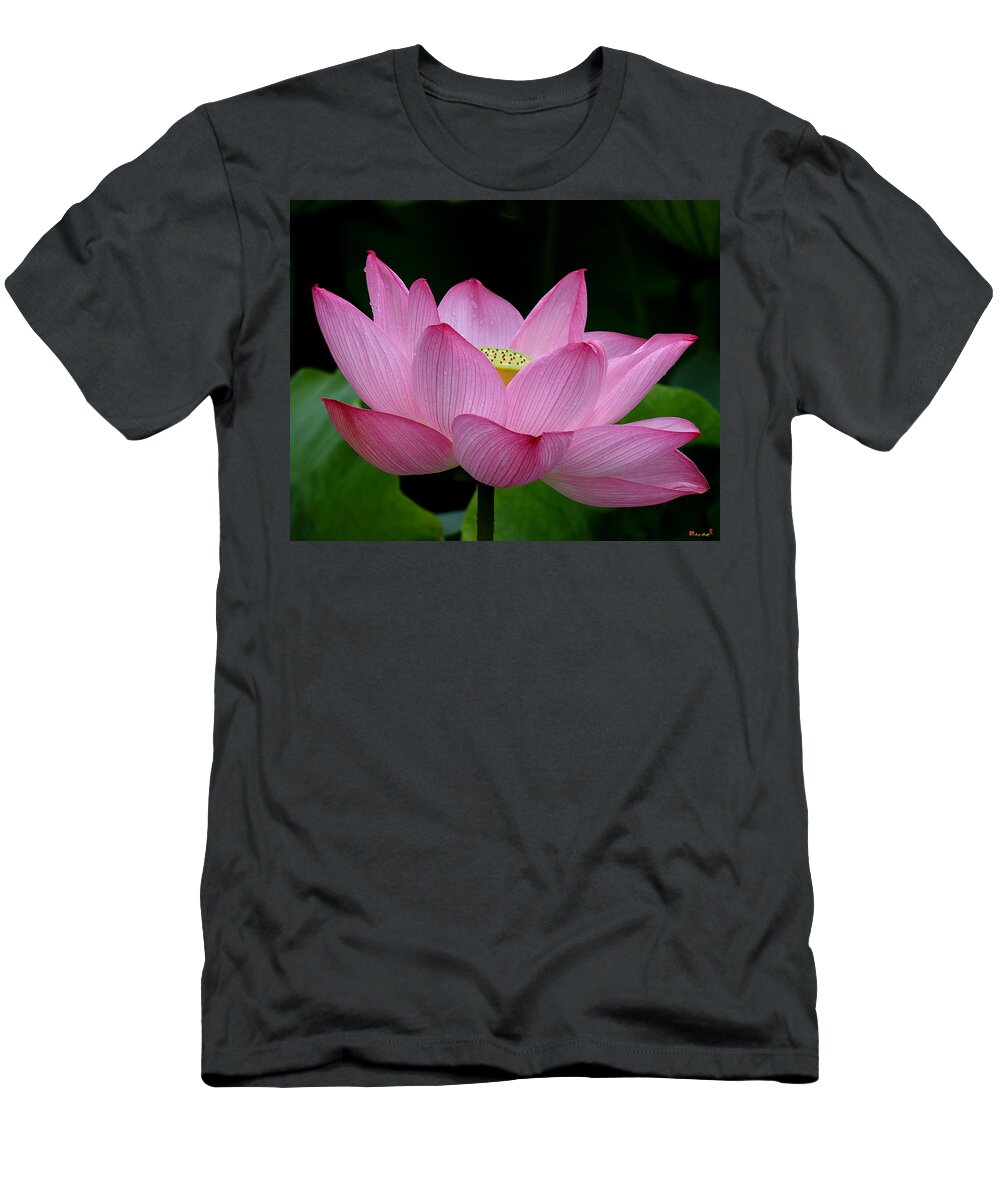 Nature T-Shirt featuring the photograph Lotus-Center of Being iii DL033 by Gerry Gantt