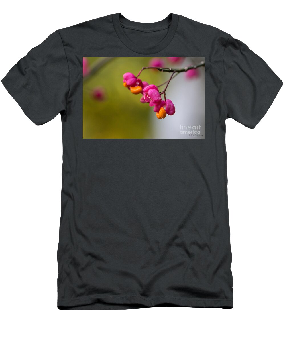 Bulgaria T-Shirt featuring the photograph Lovely colors - European spindle flower seeds by Jivko Nakev