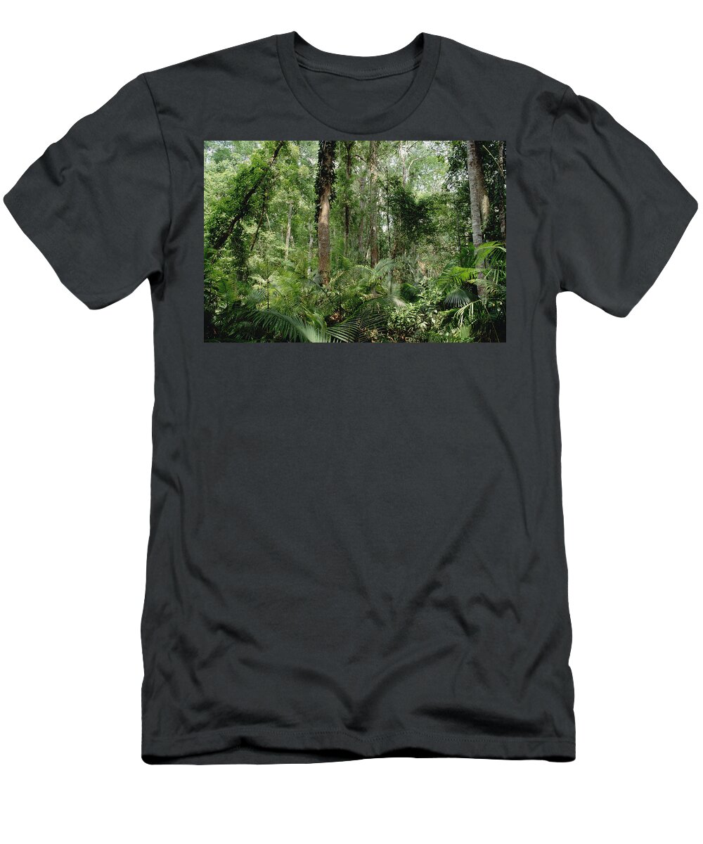 Feb0514 T-Shirt featuring the photograph Low Montane Tropical Rainforest Khao by Gerry Ellis